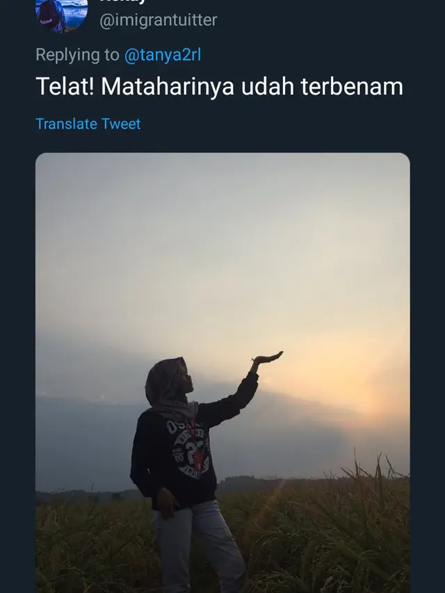 Hasil Edit Foto Pegang Matahari oleh Warganet