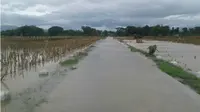 Banjir Pacitan-Ponorogo. (Liputan6.com/Dian Kurniawan)