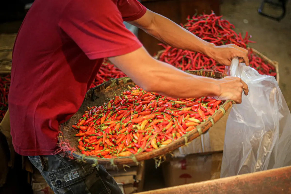 Harga Cabai Rawit Merah Tembus Hingga Rp 120 Ribu per Kilogram