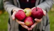 7 Cara Menyimpan Apel agar Tidak Cepat Keriput dan Bertepung, Kunci Kesegaran Buah