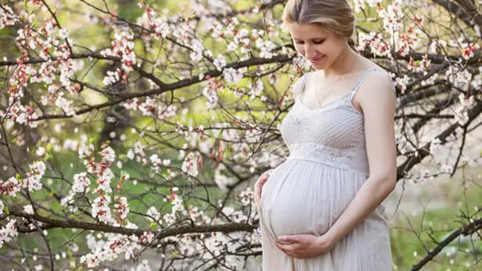 Hamil/Copyright Shutterstock