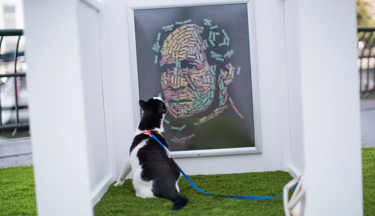Seekor kucing mengamati instalasi seni bertajuk "The Hand That Feeds" karya Noah Scalin selama pameran Dogumenta di Manhattan, AS, 11 Agustus 2017. Pameran ini dipajang di Brookfield Place, Lower Manhattan dari 11 - 13 Agustus 2017. (AP/Mary Altaffer)