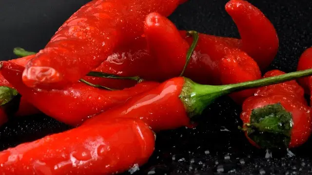 Ilustrasi Cabe Rawit