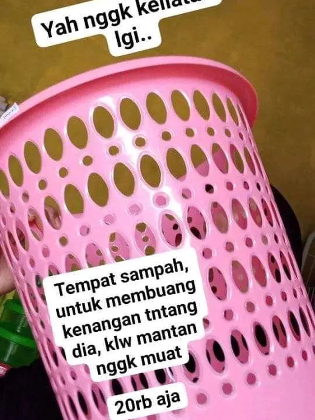 7 Potret Netizen Jual Alat Rumah Tangga Ini Kocak, Punya Gelar S3 Marketing