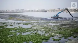 Alat berat mengeruk lumpur di Waduk Pluit, Jakarta, Rabu (30/10/2019). Waduk Pluit dikeruk untuk mengeluarkan lumpur yang mengendap pada bagian dasar. (Liputan6.com/ Faizal Fanani)