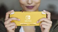 Nintendo Resmi Memperkenalkan Switch Lite (sumber: Nintendo)