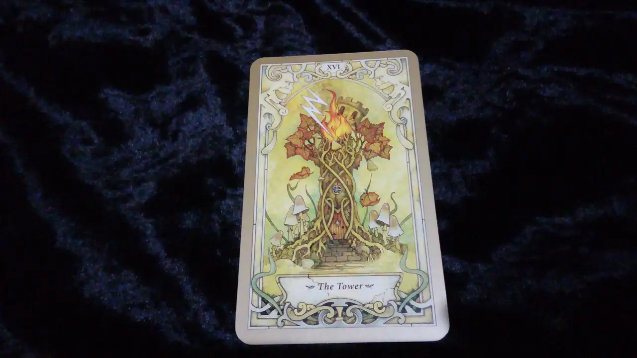Tarot, Rabu 21 Februari
