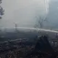 Proses pemadaman kebakaran lahan gambut di Kota Dumai. (Liputan6.com/M Syukur)