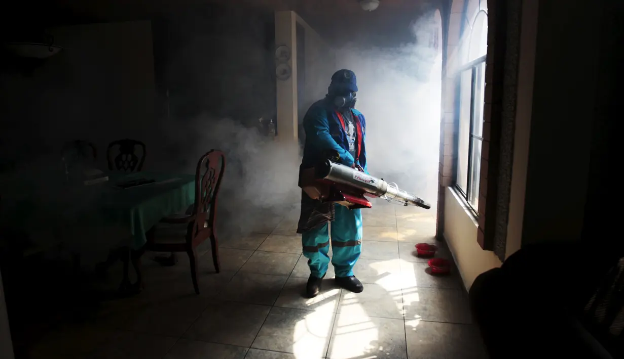 Petugas melakukan pengasapan atau fogging di San Salvador, Elsavador, Rabu (27/1). Pemerintah Brasil mengumumkan bahwa negaranya kini menyatakan perang terhadap nyamuk Aedes aegypti si penyebab tersebarnya Virus Zika (REUTERS /Jose Cabezas)