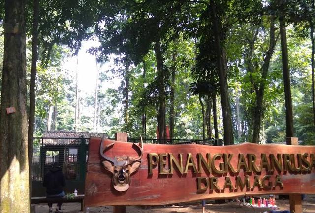 16. Pusat Pengembangan Teknologi Penangkaran Rusa Bogor