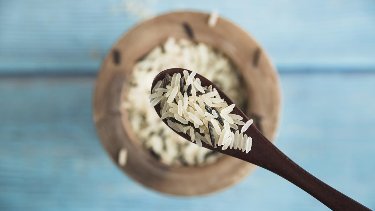 Penyebab Kutu Beras Muncul Padahal Beras Masih Baru, Jangan Diabaikan