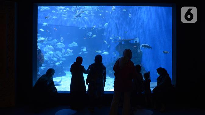 Pengunjung melihat ikan-ikan dalam Jakarta Aquarium dan Safari, Sabtu (19/12/2020). Jakarta Aquarium dan Safari menghias pohon Natal dari bahan daur ulang mulai 20-27 Desember 2020 untuk memperingati perayaan Natal. (merdeka.com/Imam Buhori)