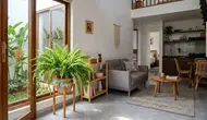 6 Tanaman Indoor yang Bisa Menjaga Kelembapan Rumah, Pilihan Alami untuk Hunian