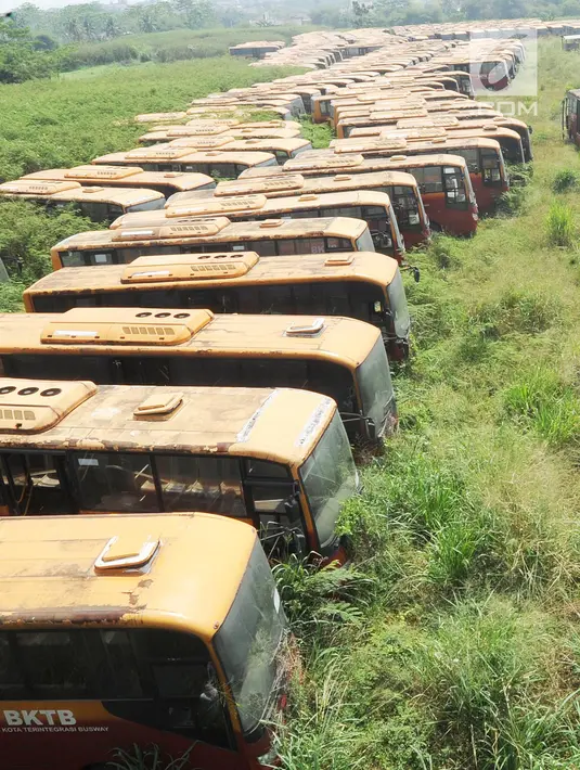 Deretan  bus Transjakarta yang sudah tidak digunakan lagi diparkir di lahan kosong di Dramaga, Kabupaten Bogor, Jawa Barat, Minggu (28/7/2019). Kurang lebih 300 bus Transjakarta dengan kondisi tak terawat diparkir di lahan kosong sejak 2018. (merdeka.com/Arie Basuki)