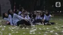 Mahasiswa berfoto di rumput yang bercampur dengan kapas di halaman Institut Pertanian Bogor, Kota Bogor, Jawa Barat, Kamis (25/8/2022). Kapas yang berasal dari pohon kapuk randu yang sedang berguguran itu menjadi daya tarik bagi warga untuk berswafoto. (Liputan6.com/Angga Yuniar)