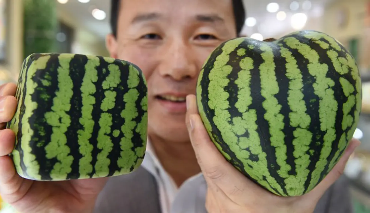 Mototaka Nishimura, seorang manajer dari toko buah mewah Shibuya Nishimura, ketika menunjukkan semangka berbentuk kotak dan hati di Tokyo, Jepang, 1 Juli 2015. (AFP PHOTO/Toru Yamanaka)