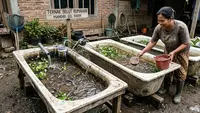 Cara Ternak Belut di Bak Mandi Rusak, Solusi Usaha Sederhana Modal Kecil untuk Pemula