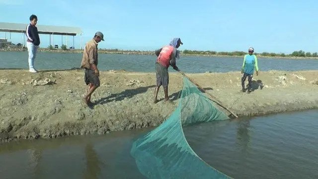 Pencemaran di Pesisir Utara Karawang