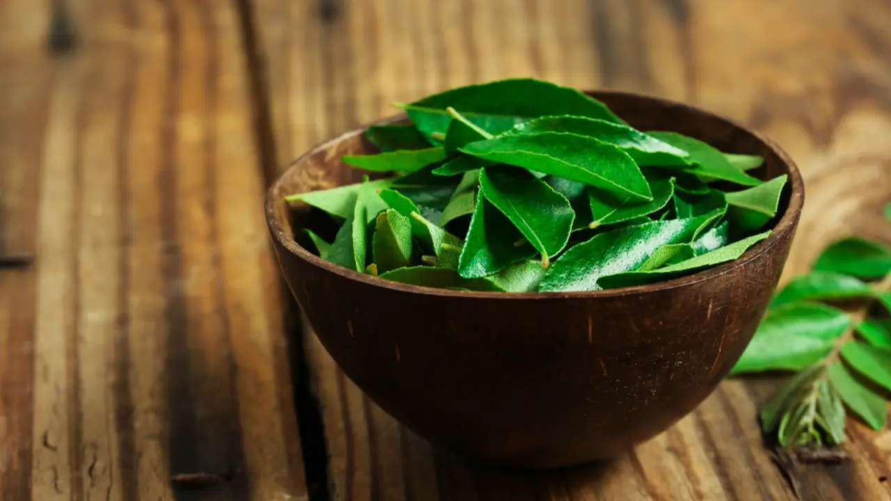 daun kari-kezo