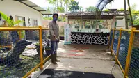 Untuk memutus mata rantai virus, pengelola Taman Satwa Cikembulan menyiapkan cairan disinfektan di pintu masuk tiket pengunjung. (Liputan6.com/Jayadi Supriadin)