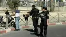 Pria Palestina itu ditembak mati setelah ia menikam 2 petugas keamanan Israel dari arah belakang.
