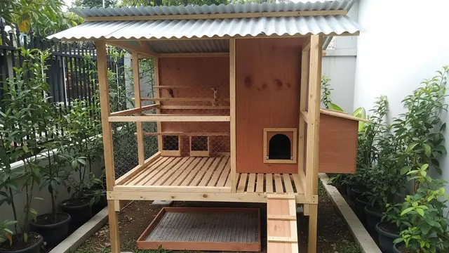 Ide Kandang Ayam Bertingkat untuk Menghemat Lahan Sempit di Rumah