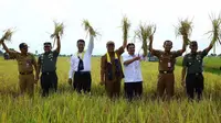 Kementan proyeksikan lahan rawa Kalimantan Selatan sebagai lumbung pangan di luar Jawa.