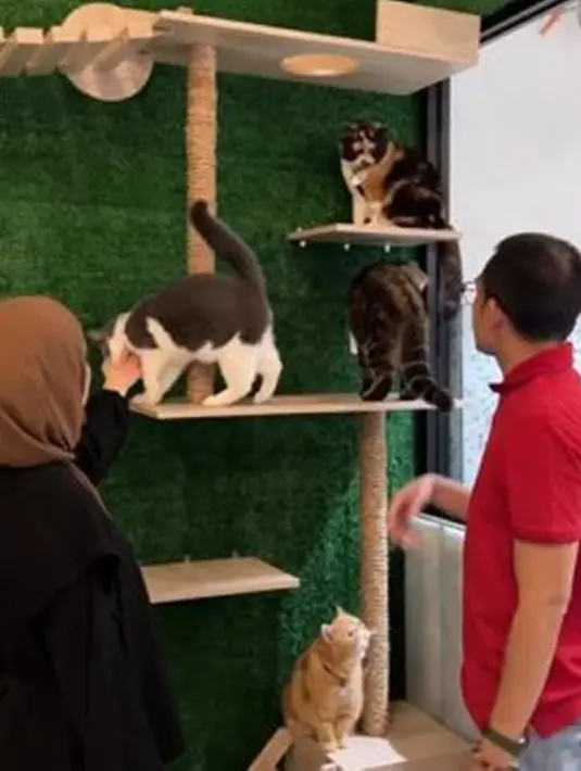 Diketahui di dalamnya juga terbagi menjadi beberapa tipe kamar seperti deluxe, junior suite, bahkan president suite. Di sana ada beberapa kucing yang begitu menggemaskan.(Liputan6.com/IG/@tya_ariestya)
