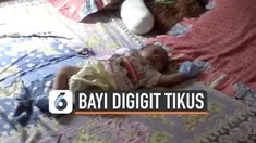 Warga desa Pasir Jambu Kabupaten Bogor resah dengan peristiwa bayi digiit tikus yang terjadi di kampungnya. Mereka  selalu menggendong bayinya kemanapun pergi.