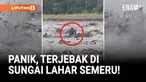 Hujan lebat yang mengguyur kawasan Gunung Semeru memicu aliran banjir lahar ke sejumlah sungai di Kabupaten Lumajang, Jawa Timur, Minggu sore (21/12). Salah satu warga dilaporkan sempat terjebak di tengah derasnya aliran lahar di Sungai Regoyo.
