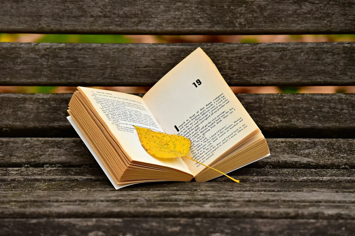 Ilustrasi novel, cerita