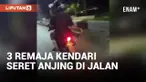Viral! Tiga Remaja Seret Anjing Pakai Motor