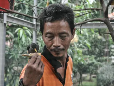 Acong (53), seorang petugas PPSU Kelurahan Klender saat memberi pakan burung yang dipelihara di halaman Kantor Kelurahan Klender, Jakarta Timur, Rabu (15/6/2022). Berawal dari hobi, Acong bersama rekan PPSU Kelurahan Klender menyulap lahan kosong menjadi sangkar burung kicau sebagai upaya mempercantik lingkungan.  (merdeka.com/Iqbal S. Nugroho)