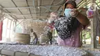 Pekerja menyelesaikan pembuatan tepung tapioka di industri rumahan kawasan Legok Nyenang, Kadumanggu, Kabupaten Bogor, Jawa Barat, Minggu (1/8/2021). Industri rumahan pembuatan tepung tapioka ini berada di luas lahan 1,5 hektare. (Liputan6.com/Herman Zakharia)