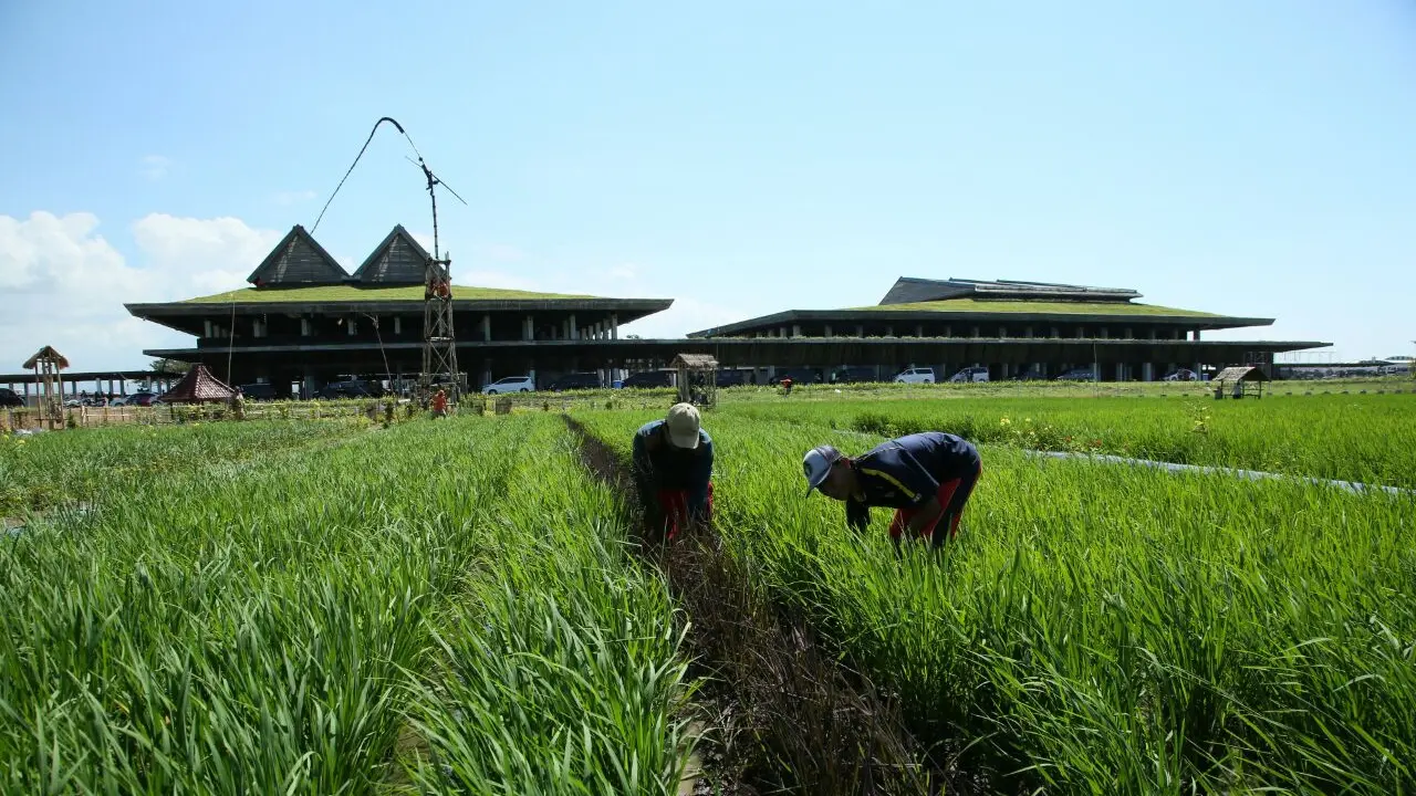 Bandara Banyuwangi Raih Sertifikasi Bandara Ramah Lingkungan Pertama di Indonesia (Istimewa)