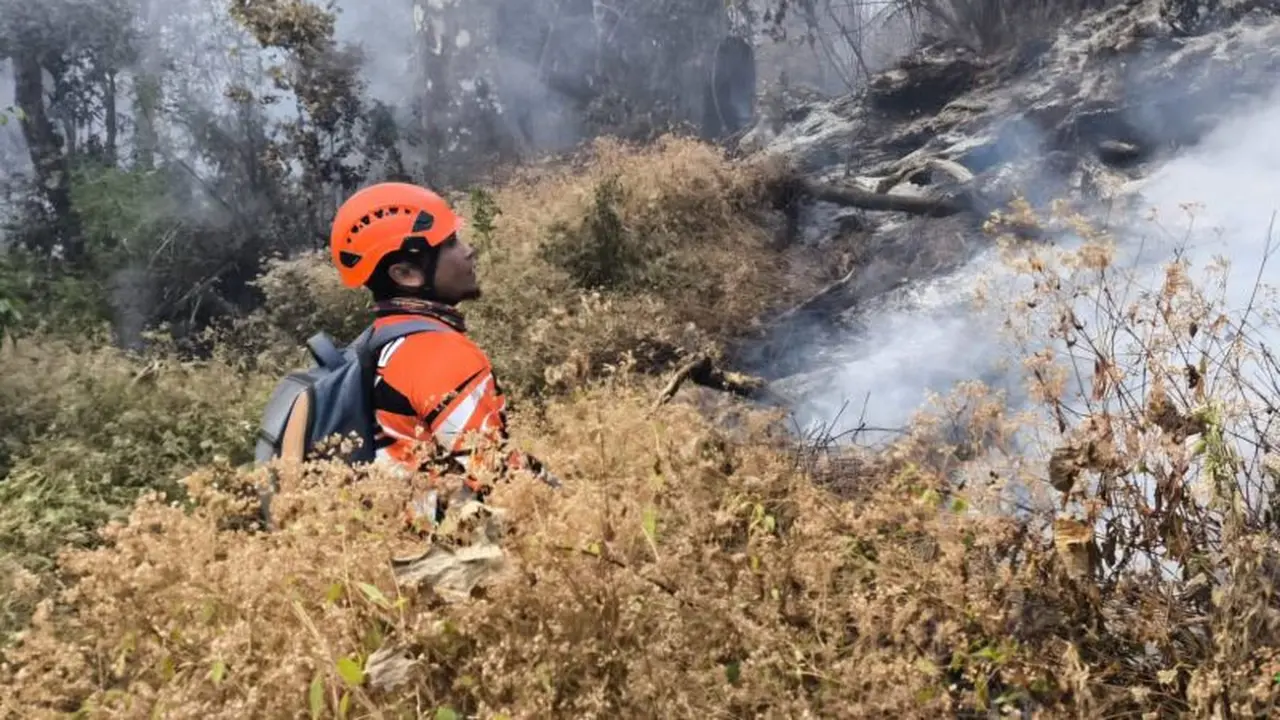 Gunung Butak terbakar