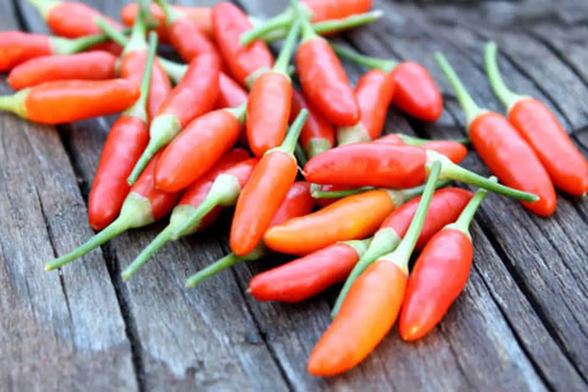 Foto: copyright by shutterstock.com