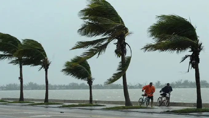 Ilustrasi angin kencang (Arfandi Ibrahim/Liputan6.com)