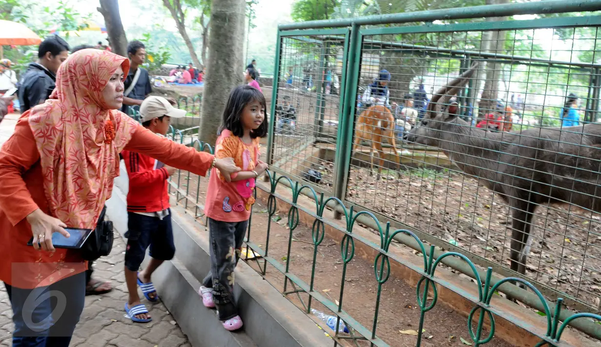 Warga melihat rusa di Kebun Binatang Ragunan, Jakarta, Minggu (27/12/2015). Ragunan masih menjadi tempat favorit untuk rekreasi bagi warga ibukota dan sekitarnya. (Liputan6.com/Helmi Afandi)
