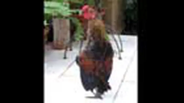 Ayam Berdiri Tegak