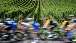 Para pebalap Tour de France melintasi kebun anggur pada etape keempat dengan jarak tempuh 207,5 km antara Mondorf-les-Bains dan Vittel, (4/7/2017). (AFP/Lionel Bonaventure)