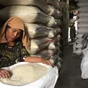 Harga Pangan Hari Ini: Beras Kualitas Bawah Mulai Turun