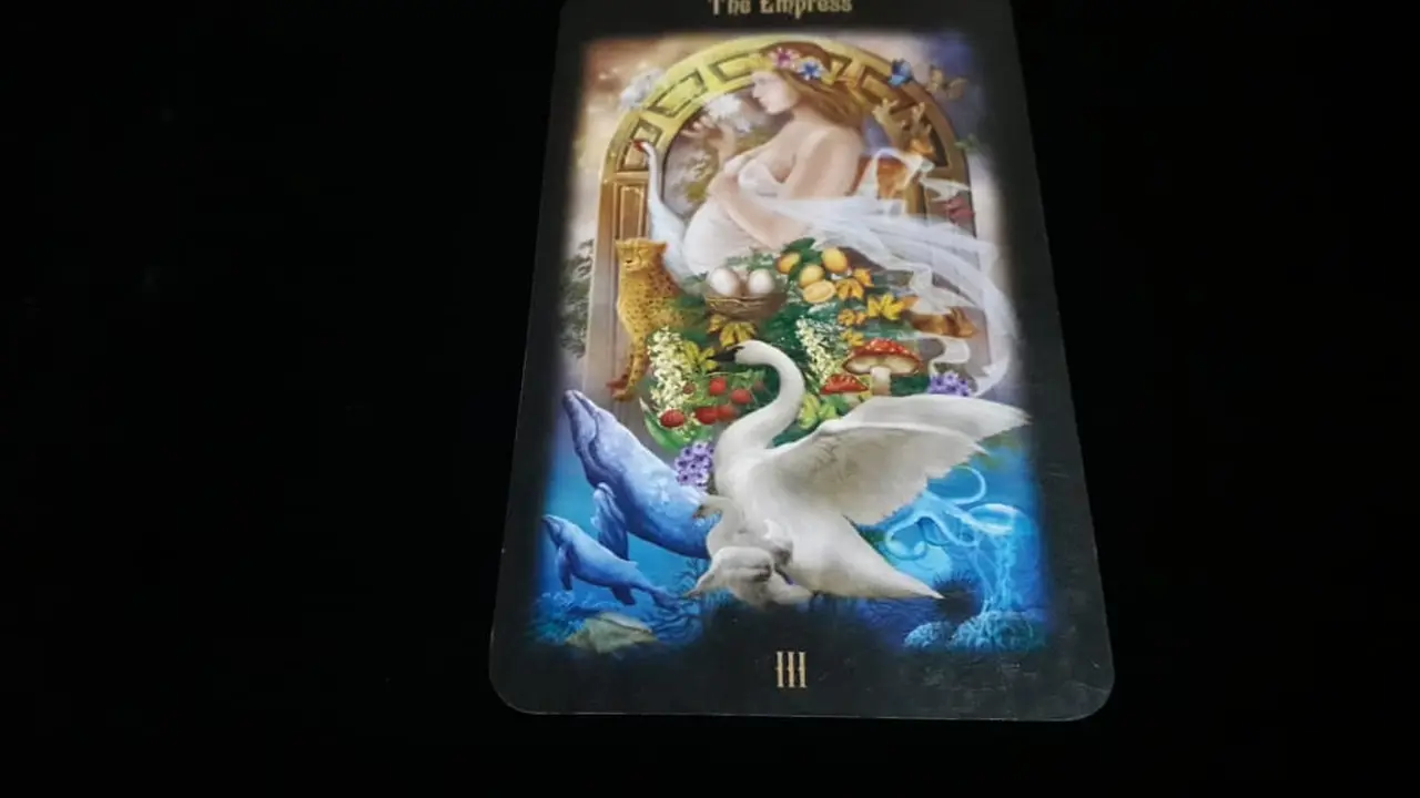 Tarot