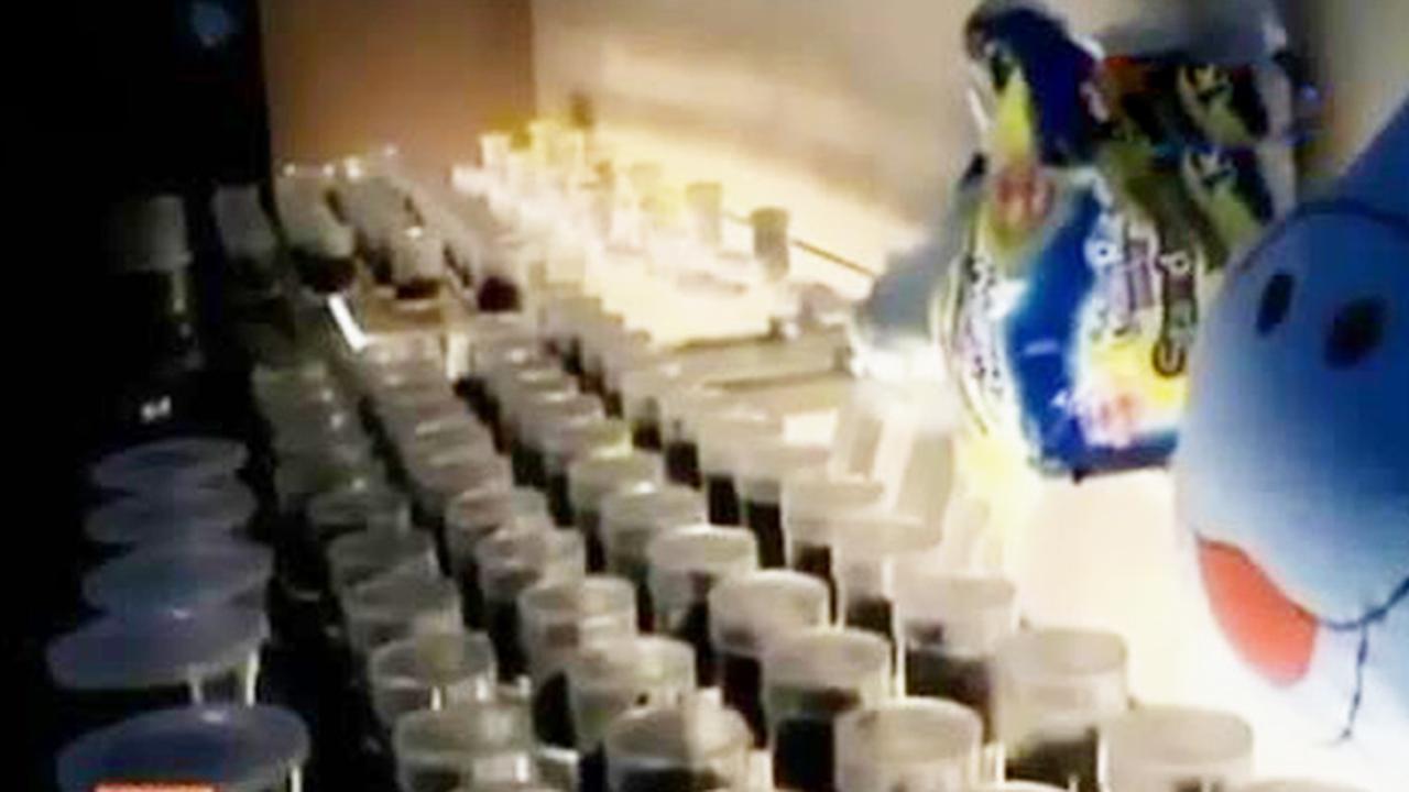 VIDEO: Kantor Bea Cukai Gagalkan Impor 111 Tarantula