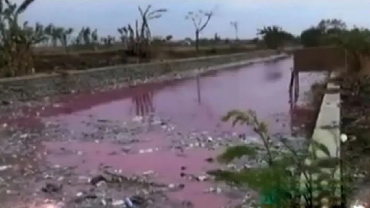 Sungai Kamal di Brebes Memerah, Ratusan Ikan Mati