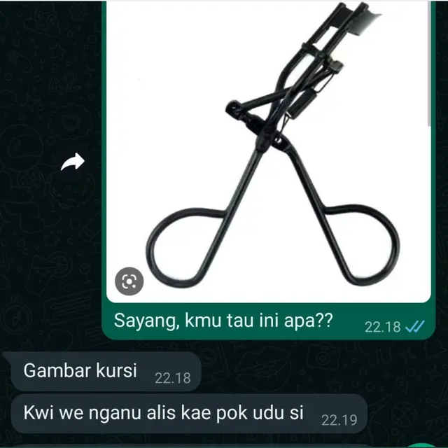 6 Chat Jawaban Cowok Ketika Ditanya Soal Penjepit Bulu Mata Ini Kocak