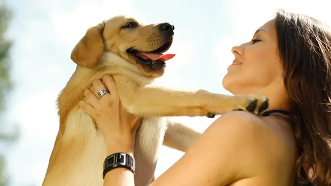 Copyright by shutterstock.com