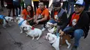 Sejumlah peserta bersama anjingnya saat saat ikut berkumpul untuk meraih Rekor Guinness di Mexico City di Meksiko (26/2). Dalam acara ini sebanyak 950 anjing Bulldog ikut berkumpul ditempat tersebut. (AFP/Alfredo Estrella)