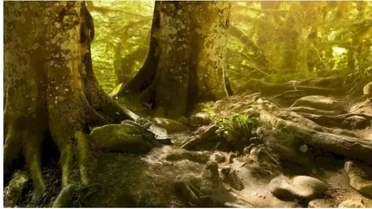 Tes Kejelian Matamu dengan Temukan Ular Pada Gambar Ini, Butuh Konsentrasi