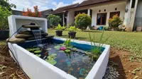 8 Desain Kolam Ikan dari Box Bekas Kulkas dan Cara Membuatnya, Murah Efisien